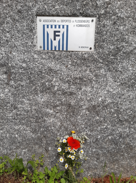 snimek obrazovky 2026 06 21 220248