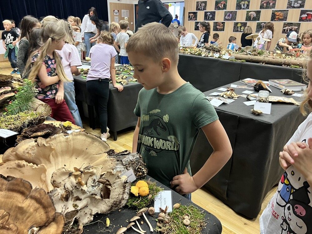 img 0966